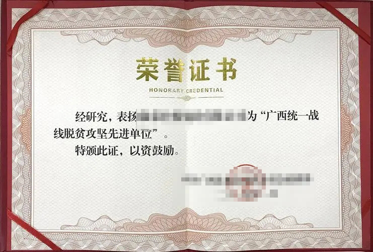荣誉证书六 荣誉证书六